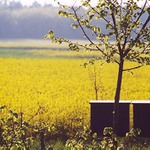 Pošta pro pražáky